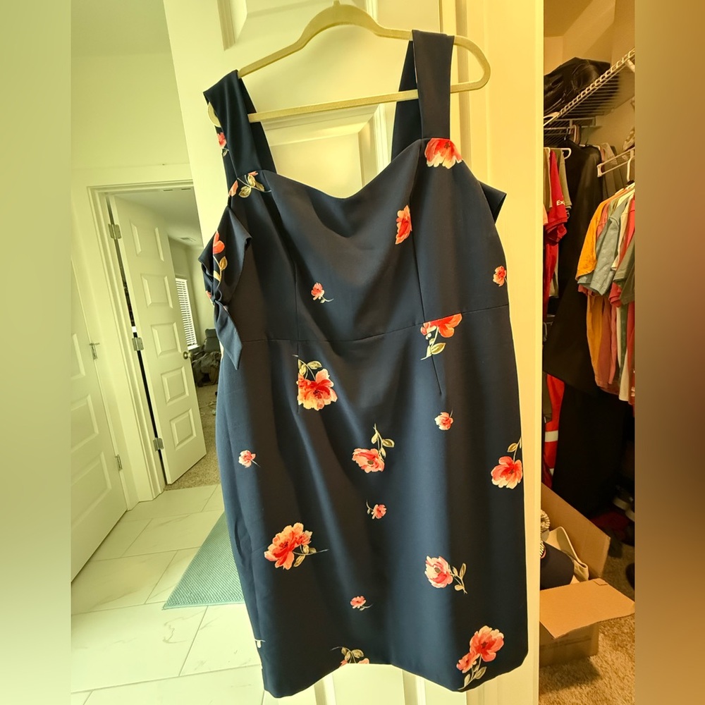 Ashley Graham Dress 20W